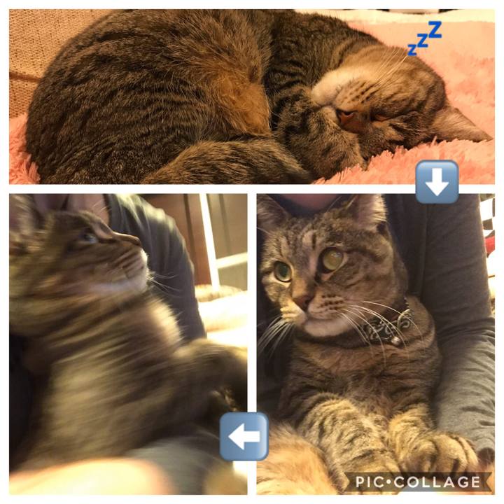 5f924d69 8348 4928 bf7b dbe1aff7e5e3 1542536175979