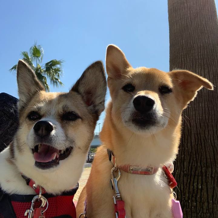 5f9265c8 5095 4896 89bc 611cbc8e22c8 1571792891311