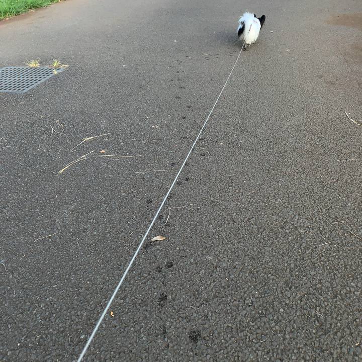 5f931882 83d8 4646 ba0b 96c874cf76b5 1564976679533