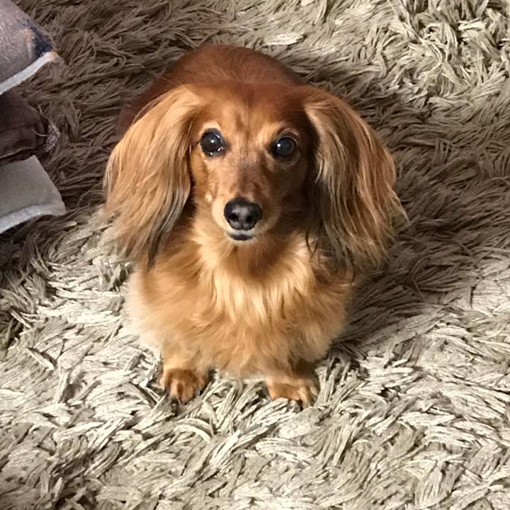 5f937132 636f 4434 9ac0 7d9c96b895b5 1511515973458