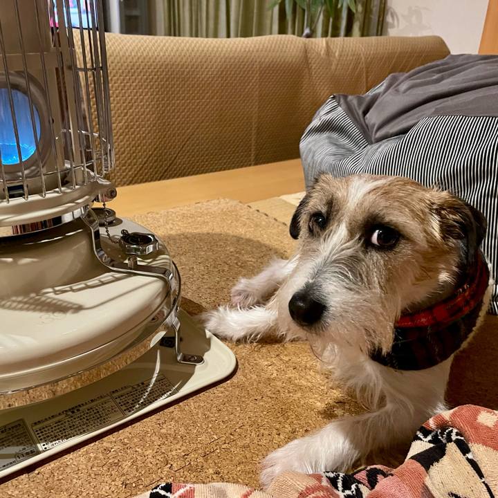 5f93d8f4 f10c 47d0 a176 c26114421eeb 1680009906983