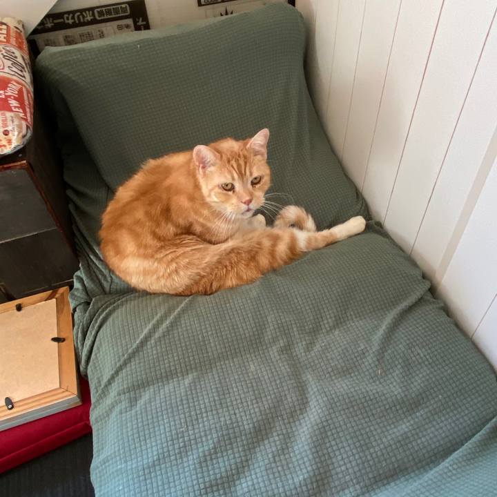 5f93db6f 78d0 4150 a7d5 62b8d6a2981e 1577847638821