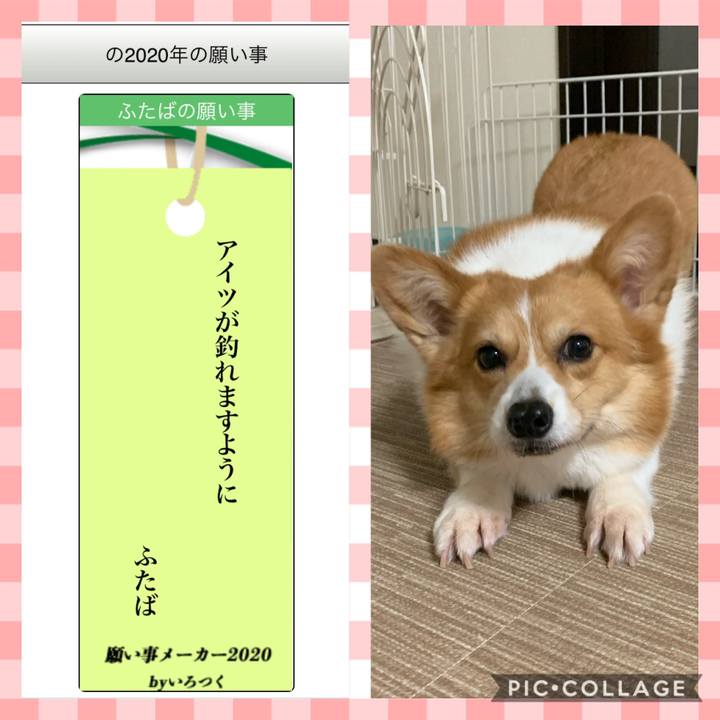 5f940e3b 0778 41c6 bec6 52897f1952a1 1594120608012