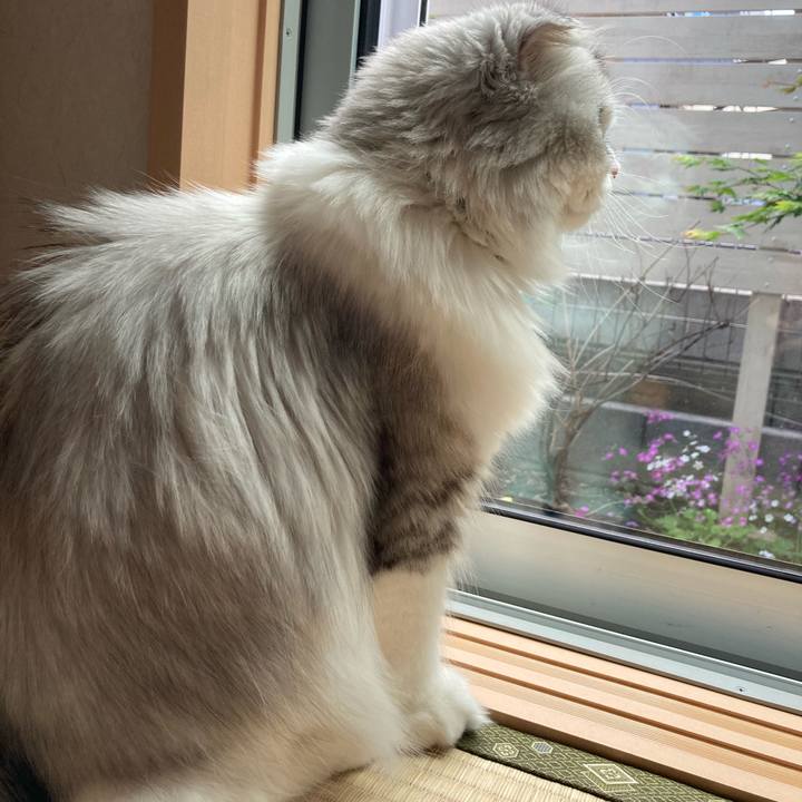 5f944392 eddc 418e 9e7d b15ec0860efe 1619097630218