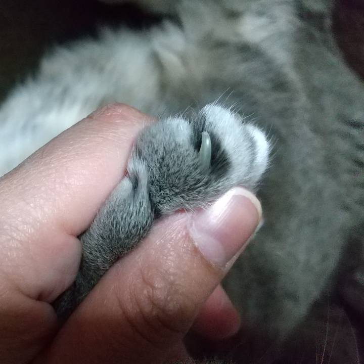 5f94915d ca3b 4475 abb5 31b46befe559 1616245023411