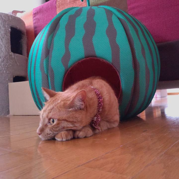 5f949a5e 7047 4c21 8892 56d47acefca6 1629723507746