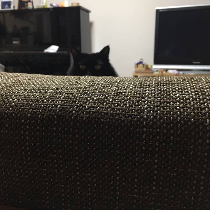 5f94a82a d2e7 4ef7 add1 fbe2ae8fcc10 1558558158126