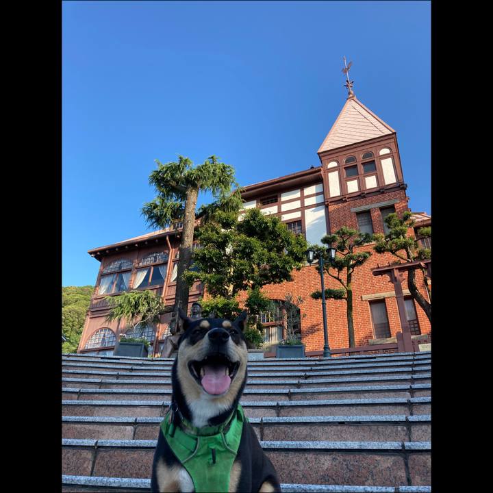 5f9519a6 6c2d 434a 80ef 5b7ade0cc8be 1592965209227