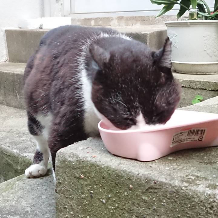 5f95247e 4c4e 40e2 8a39 139fb0fb7f0e 1685528527547