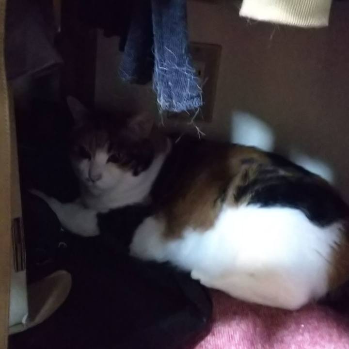 5f952945 bd27 482f a6a4 53fe1f85eb3d 1563745720275