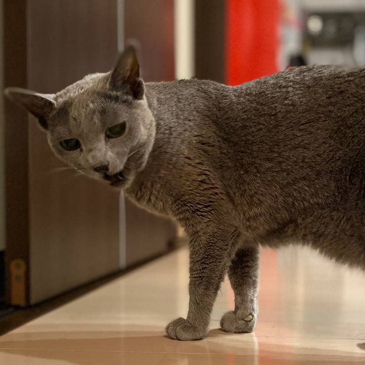 5f95313a 8873 4ec6 a97f 2a6baf0fc8c0 1577315147121