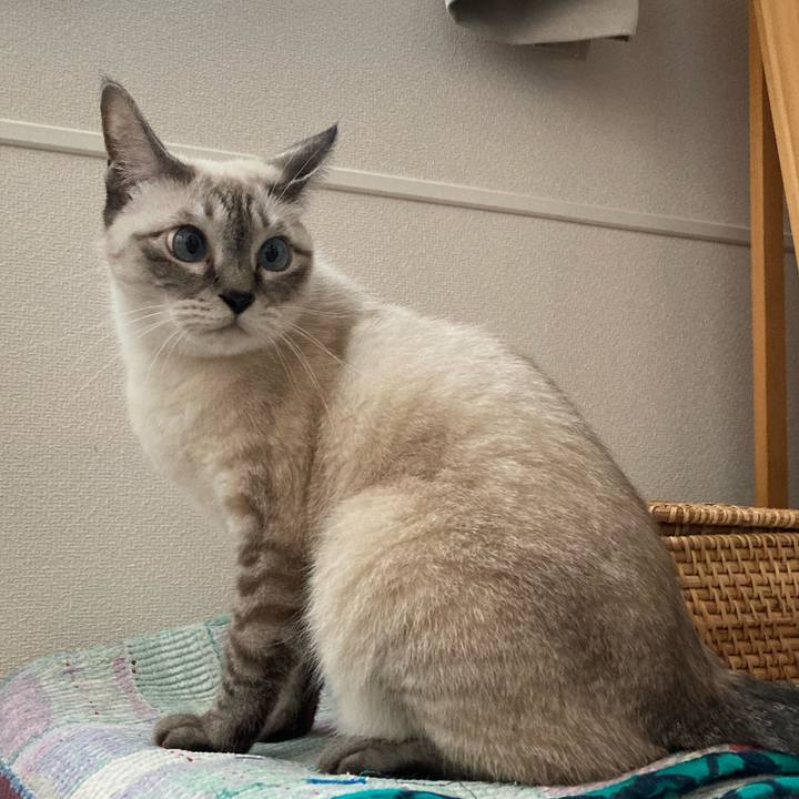 5f953e78 084f 45de bb67 688d38f99e7c 1697112035390