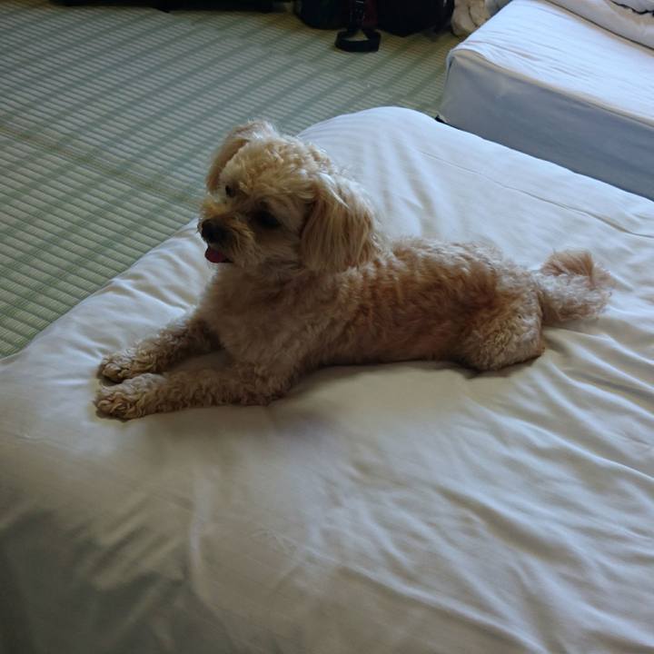 5f955173 b1d8 45e0 9a7f 4e8af6ccc85c 1565246365312