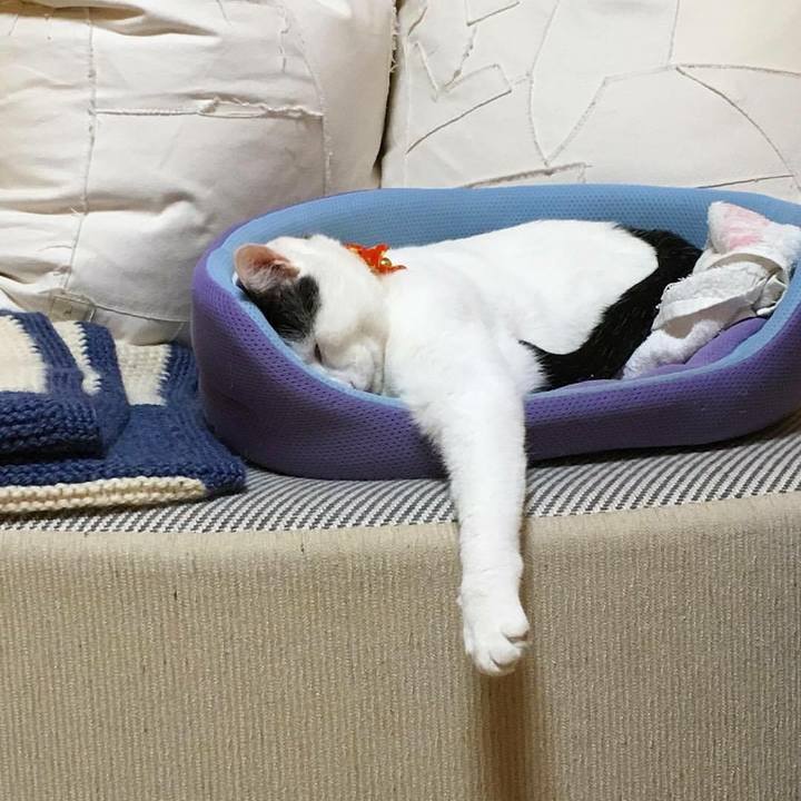 5f955b3d 4013 49e6 a186 5ee701fbb199 1533194033106