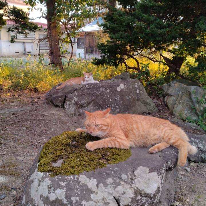 5f959091 6ced 46d7 9849 0d5cadc5f366 1725959400992