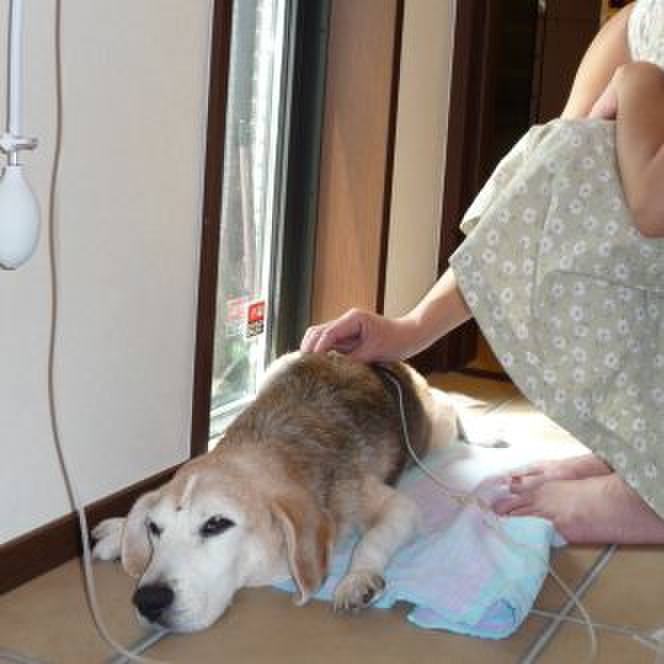 5f959d0c bb67 4d09 b73b 7d6da42bd44b 1696378895182