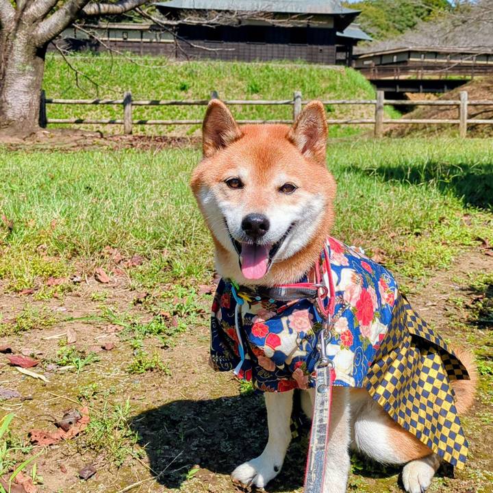 5f95d1d1 df5e 4a38 8402 ec58427078b0 1758932209783