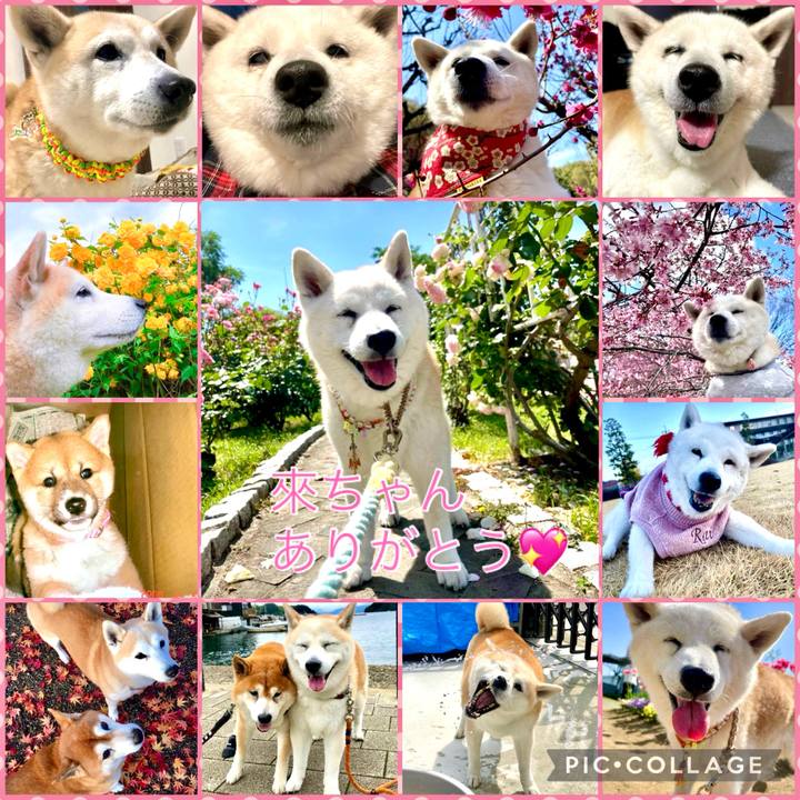 5f95ebac 3392 4f1b abcb 898f6af39128 1771563406715