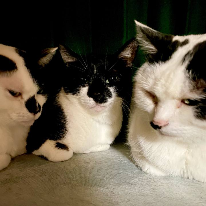 5f95faa2 75cd 4e1c 9122 f59f3f0e1f5c 1647694144885