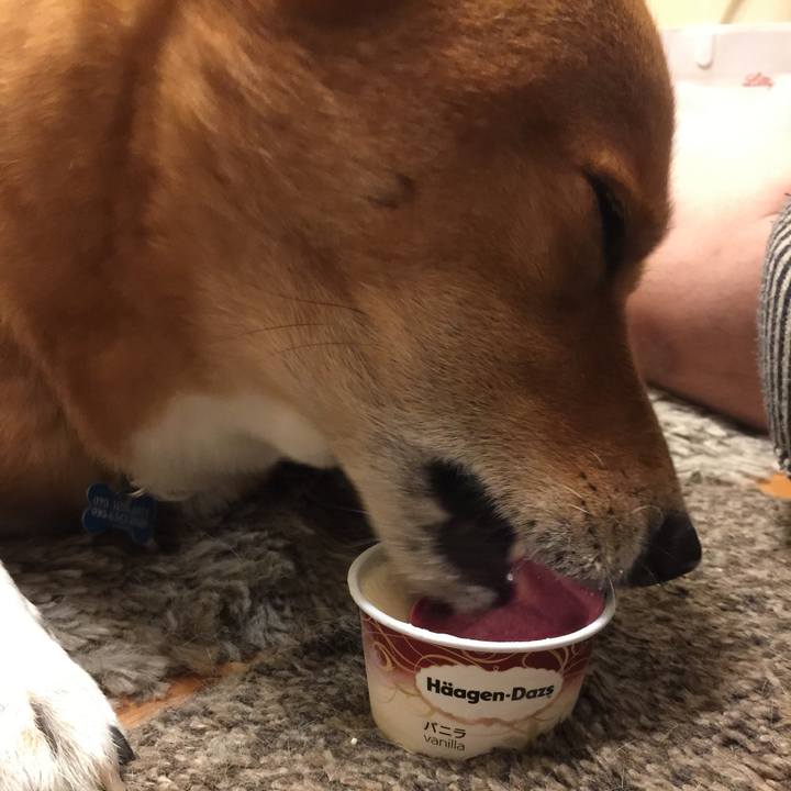 5f963daf b906 423e baec ecfb96924ecf 1567311074392