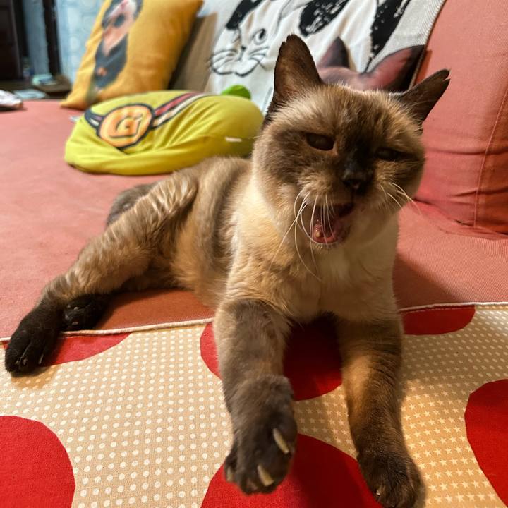 5f963f7a a440 49ad 948e 31616affa1d6 1696478193583