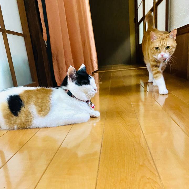 5f965922 22eb 4bec a44c 7c111920ae60 1723040055788