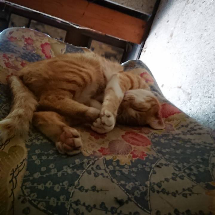 5f969e72 661c 47b3 be0c 08c6ec8def3c 1595121221706