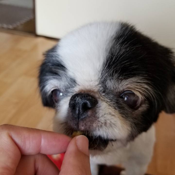 5f96f16f 5697 48b5 a365 295f211cae60 1582961009459