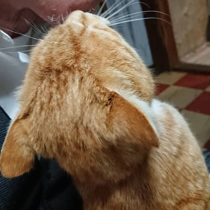 5f96fe3a ccf9 406c 9ccd 4d4fd281f32d 1587719187901