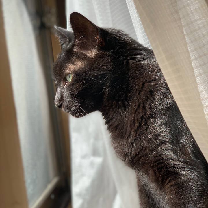 5f96fea3 f4c4 403c b342 8cab953abc0b 1602632992471