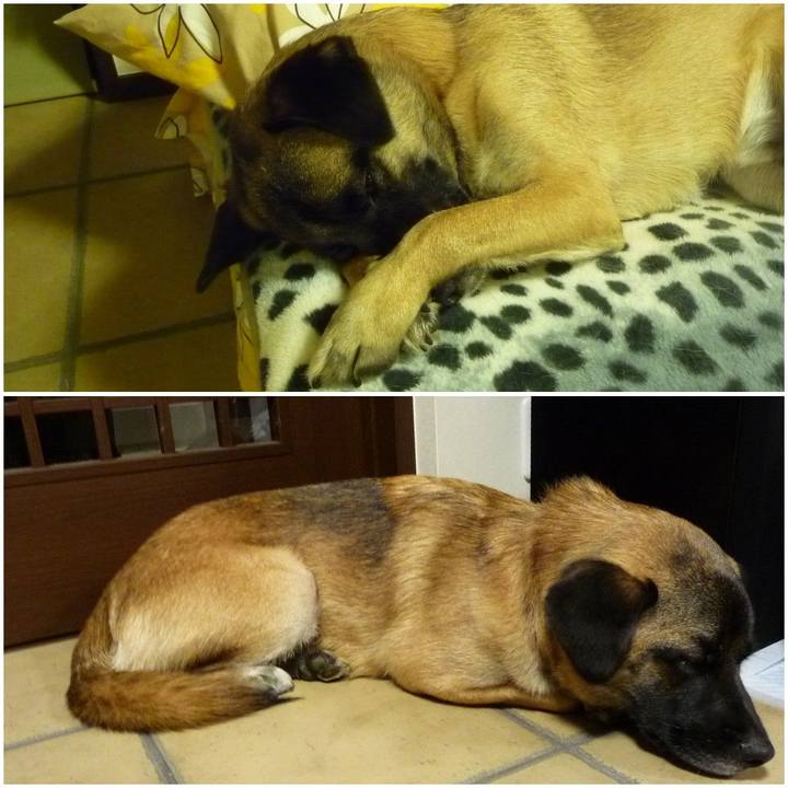 5f970615 ae27 4769 aebe 3a54eafca720 1575682497959