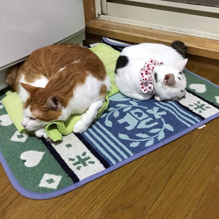 5f97137c 2a55 42fd 8819 24dc3e8dd042 1564647372391