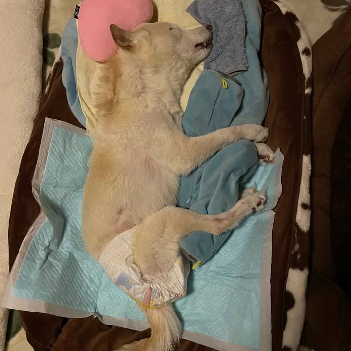 5f976210 5de7 4879 a071 74551927d9ac 1677609903724