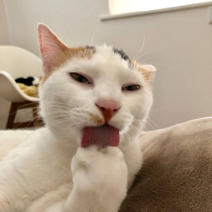 5f9772e6 16f4 4a91 a18a c118d3042e60 1552466554391