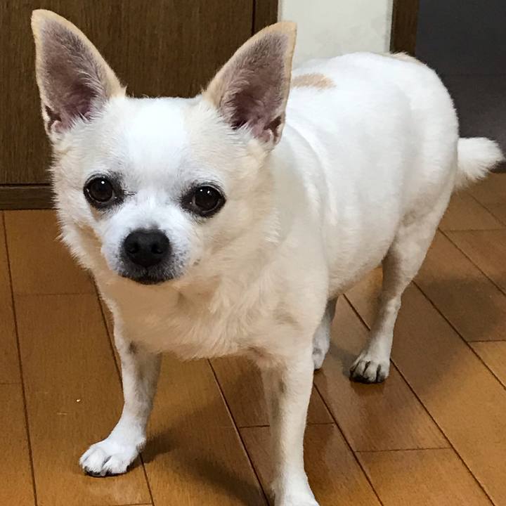 5f978775 893c 4978 8bbf 6455becd9662 1541155326491