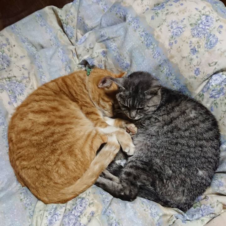 5f97960a 55e6 48de b645 9528b867c3ff 1582892498879