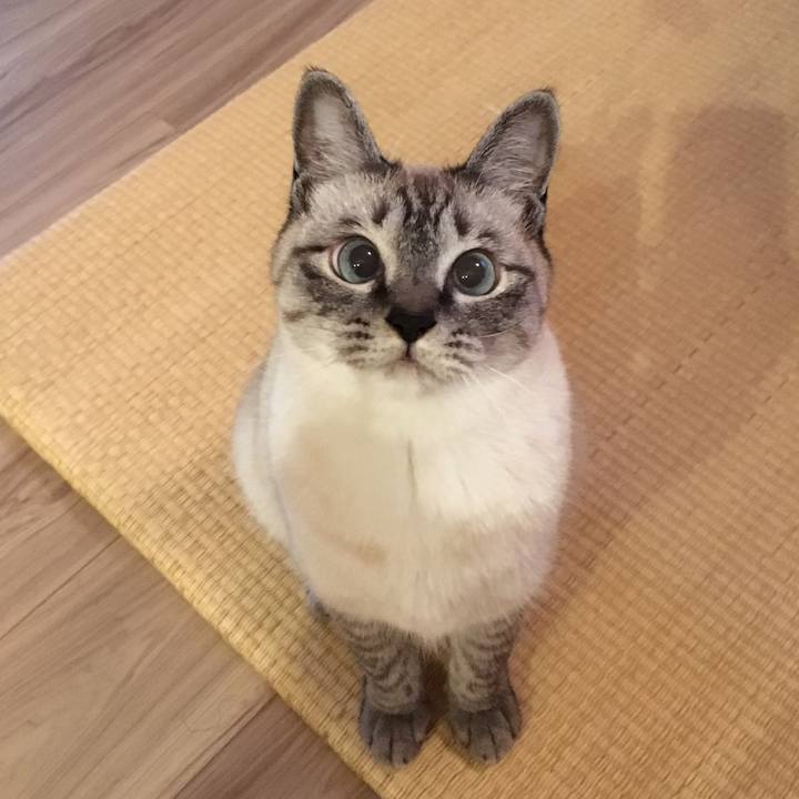 5f9799ae 4cff 4731 8b12 42d43d0daefc 1560587478047