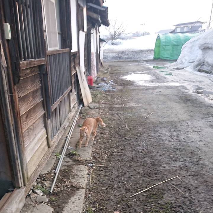 5f97b6ab 6b95 49ac b1aa 7f3659ee8bf0 1647036143199