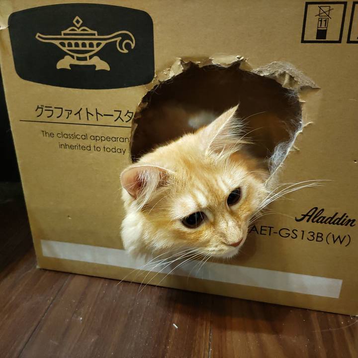 5f97e0d8 6bea 42c7 b9cb 2af7e87490fc 1692022130305