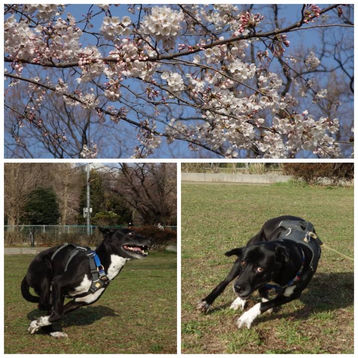 5f97f5d8 ee68 4ff3 9c78 6fb9d869ffd5 1648167896504