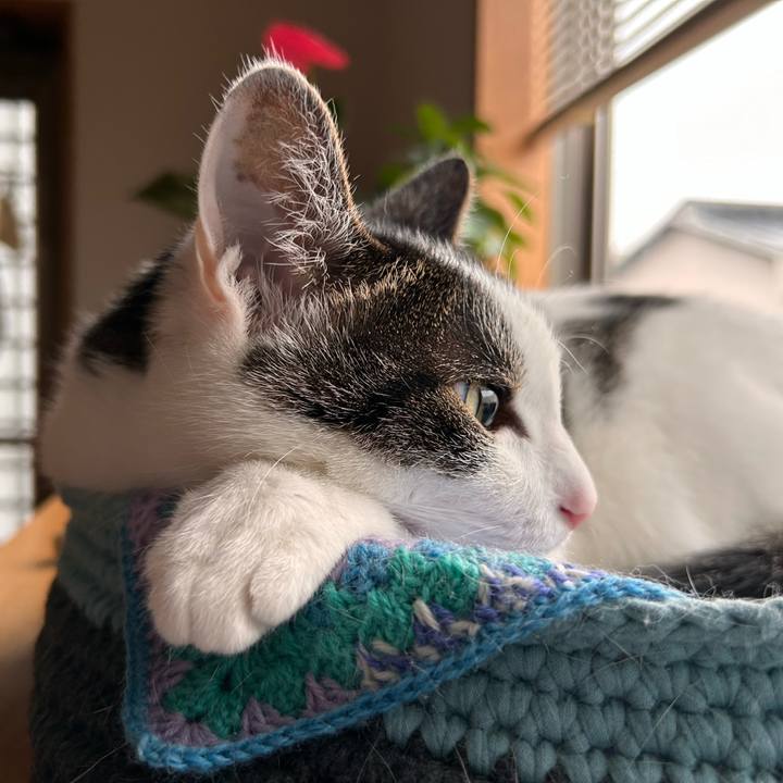 5f981569 7b21 4106 af2a c82e45728a99 1718833914697