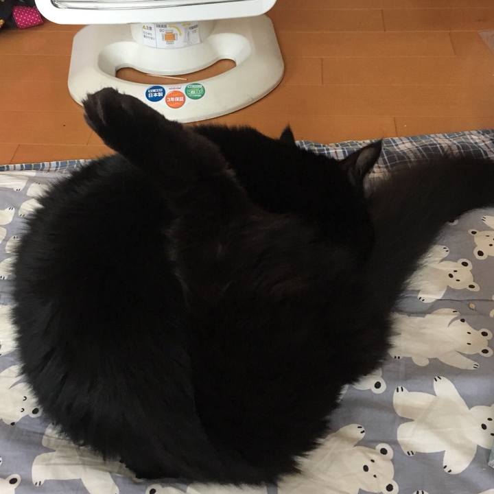 5f981c95 c2ad 43a0 91d2 63923ef70954 1523059568282