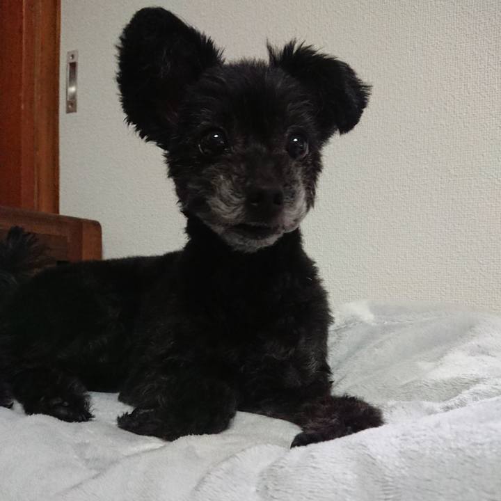 5f982f59 3cb0 491e 8fc1 d6a12f435c2e 1589018379393