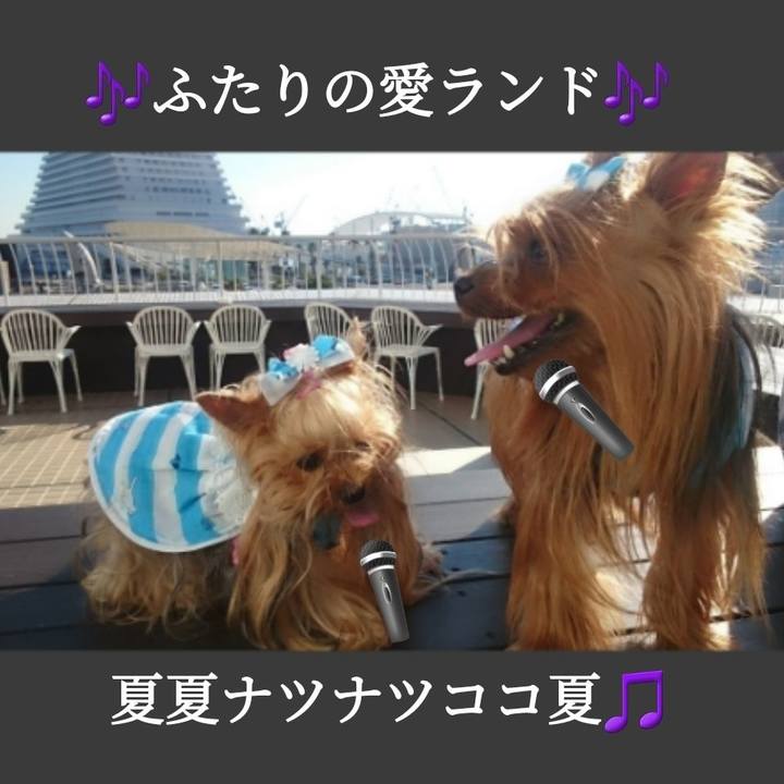 5f9856a0 a3e3 402e 96cd 603279b0f28f 1723984840581