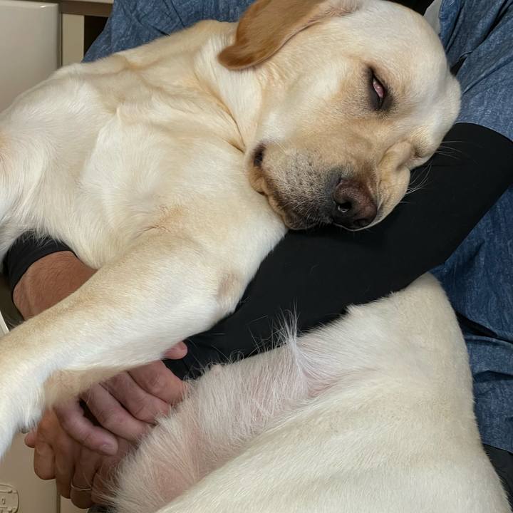 5f985f2e 5587 4dbd a73d c4bcec6a7139 1652087572530