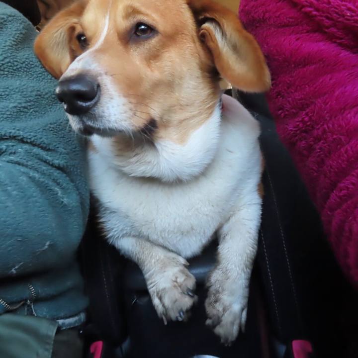 5f989338 ef5c 4c0a 825c 7b48fb1afa0d 1642840177505