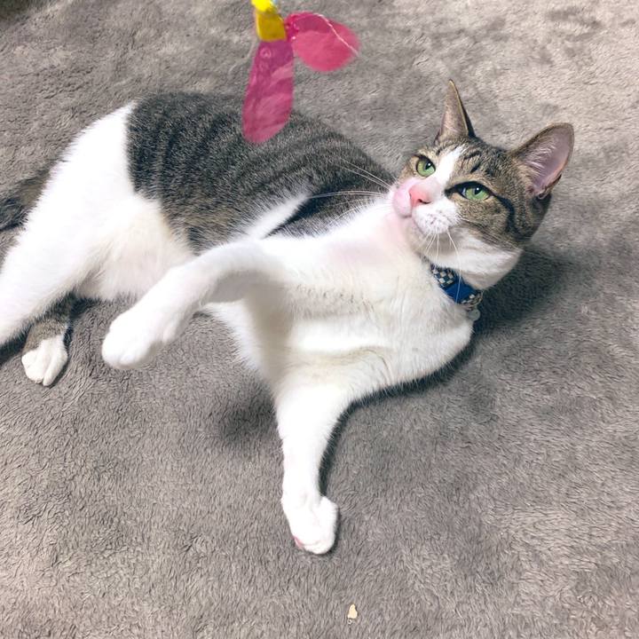 5f9897d0 8dc9 41bc 82f5 ec61f5d761dc 1573392156200