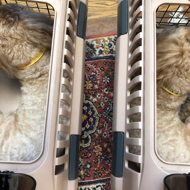 5f98c8c1 d319 4cbf a552 9a35da02119e 1667441422695