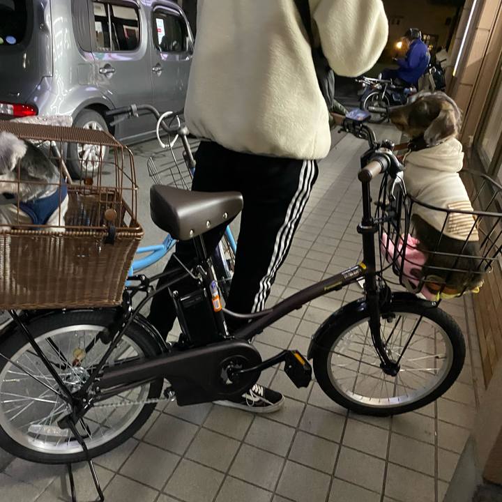 5f98d6ab 239e 4c12 b277 545fa31fd94d 1581337877274