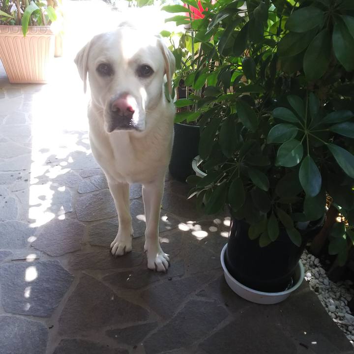 5f98dc36 48c6 4b59 b630 94e17e95e3ff 1526014120853